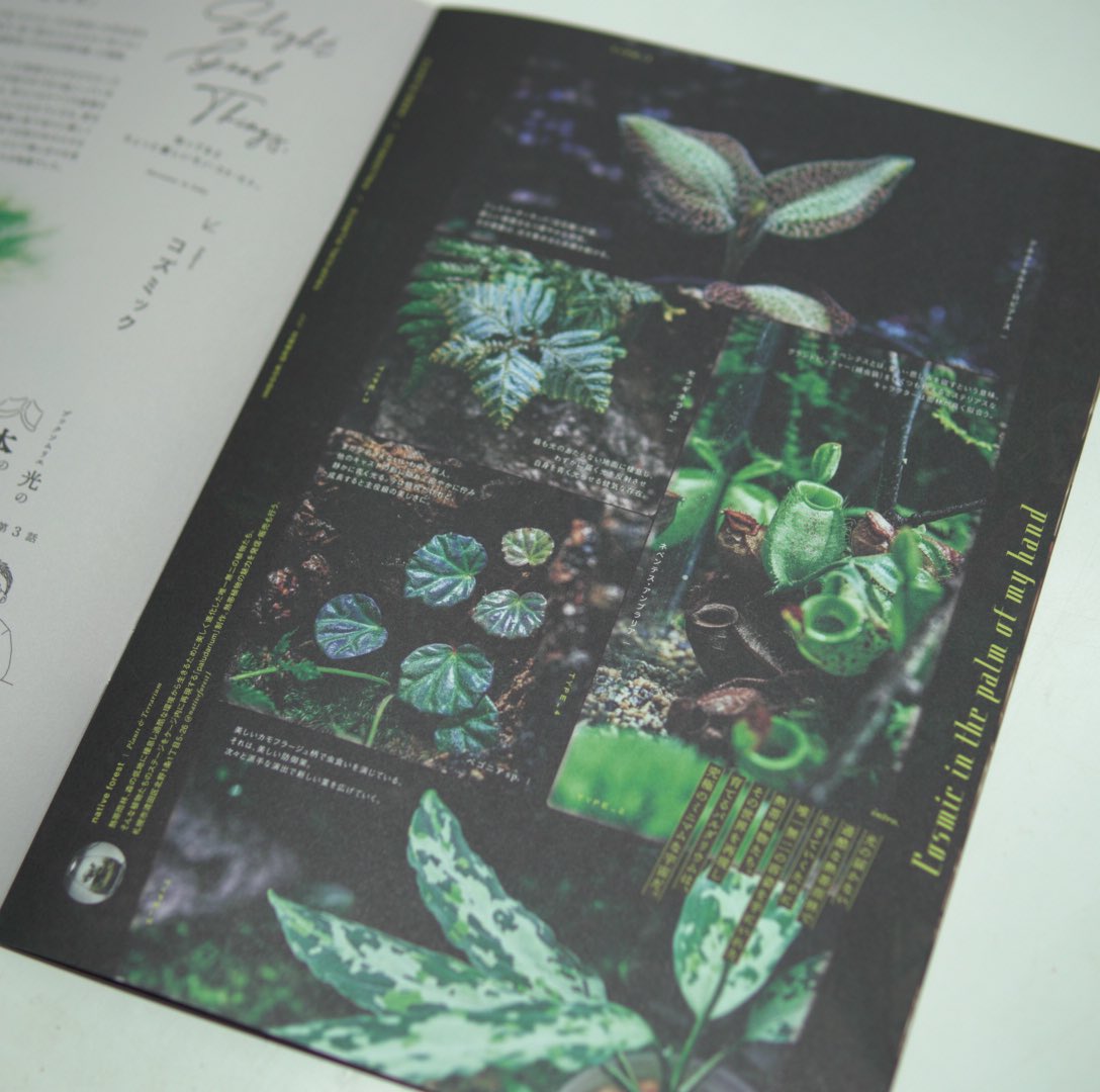 nativeforest1's tweet photo. JR TOWER 「GRAPHY」に当店の熱帯植物を掲載して頂きました
テラリウムの魅力が詰まった1ページになっています
素晴らしい街 札幌の文化をお楽しみ頂ける冊子になっています
JRタワー各施設内また電車内にも設置されています
より多くの方にテラリウムの素晴らしさが伝われば嬉しいです
#JRTOWER https://t.co/n2c3J0a6Vk