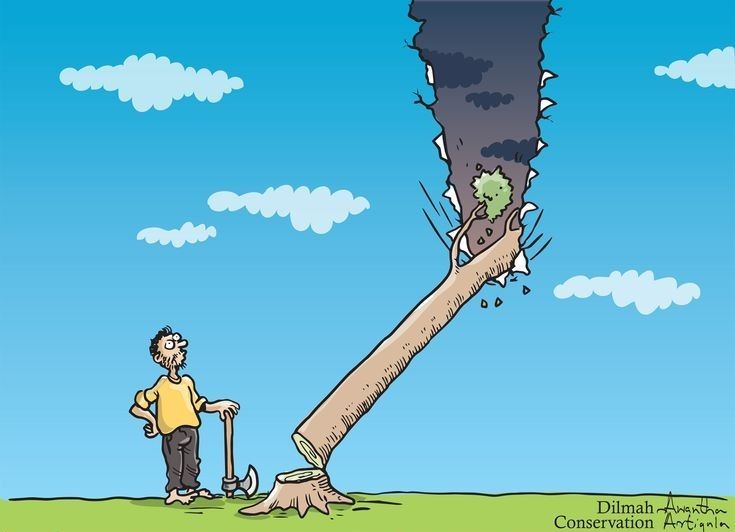 Sadly, cutting down a tree without a valid reason is a loss for our environment and biodiversity. Let's prioritize conservation, reforestation, and sustainable practices to ensure a flourishing planet for generations to come. #Conservation #PlantForTheFuture
#savebugomaforest