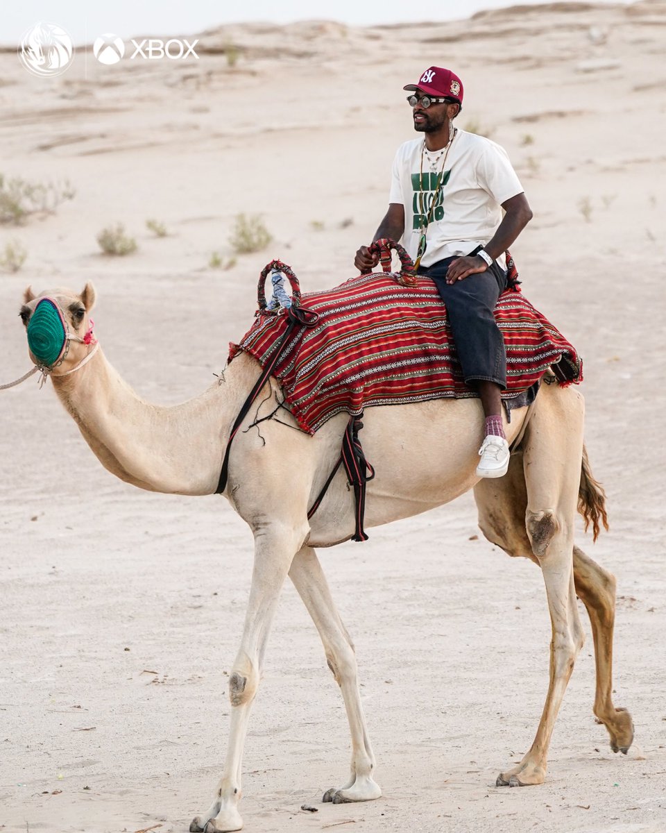 圖 達拉斯全隊在沙漠中騎駱駝