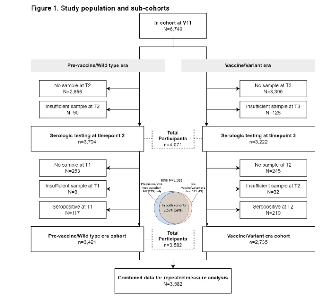 Seroincidence of SARS-CoV-2 infection prior to and during the rollout of vaccines in a community-based prospective cohort of U.S. adults medrxiv.org/content/10.110… 'While SARS-CoV-2 incidence increased markedly in most groups in the vaccine/variant era, being up to date on vaccines