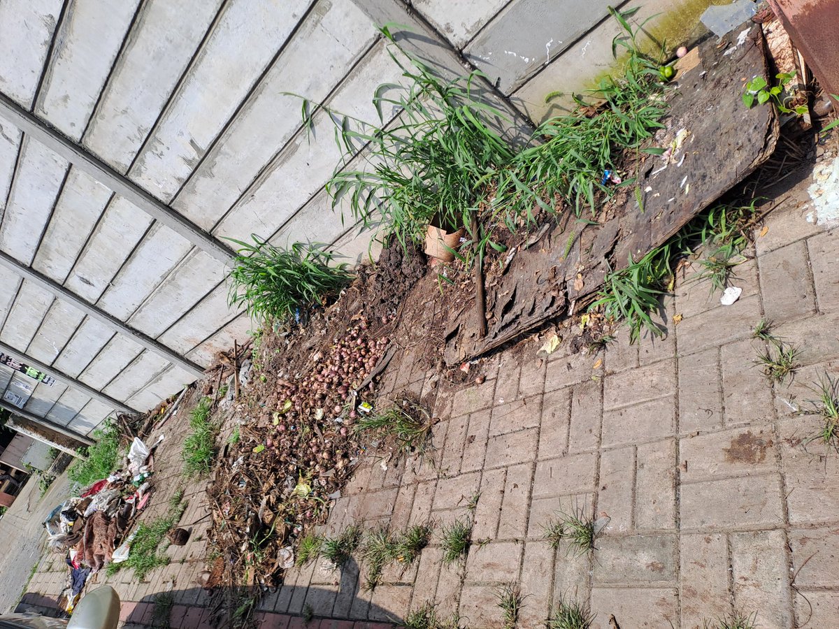VGIyyer's tweet photo. @PMCPune Garbage not cleared for several days. Lying on the foot path casuing bad smell all over.

Location - Outside Silver Classic Apartment, SRPF Road, Vikas Nagar, Jagtap Chowk, Wanowrie - Pune - 411040 https://t.co/gdS0EqEpmr
