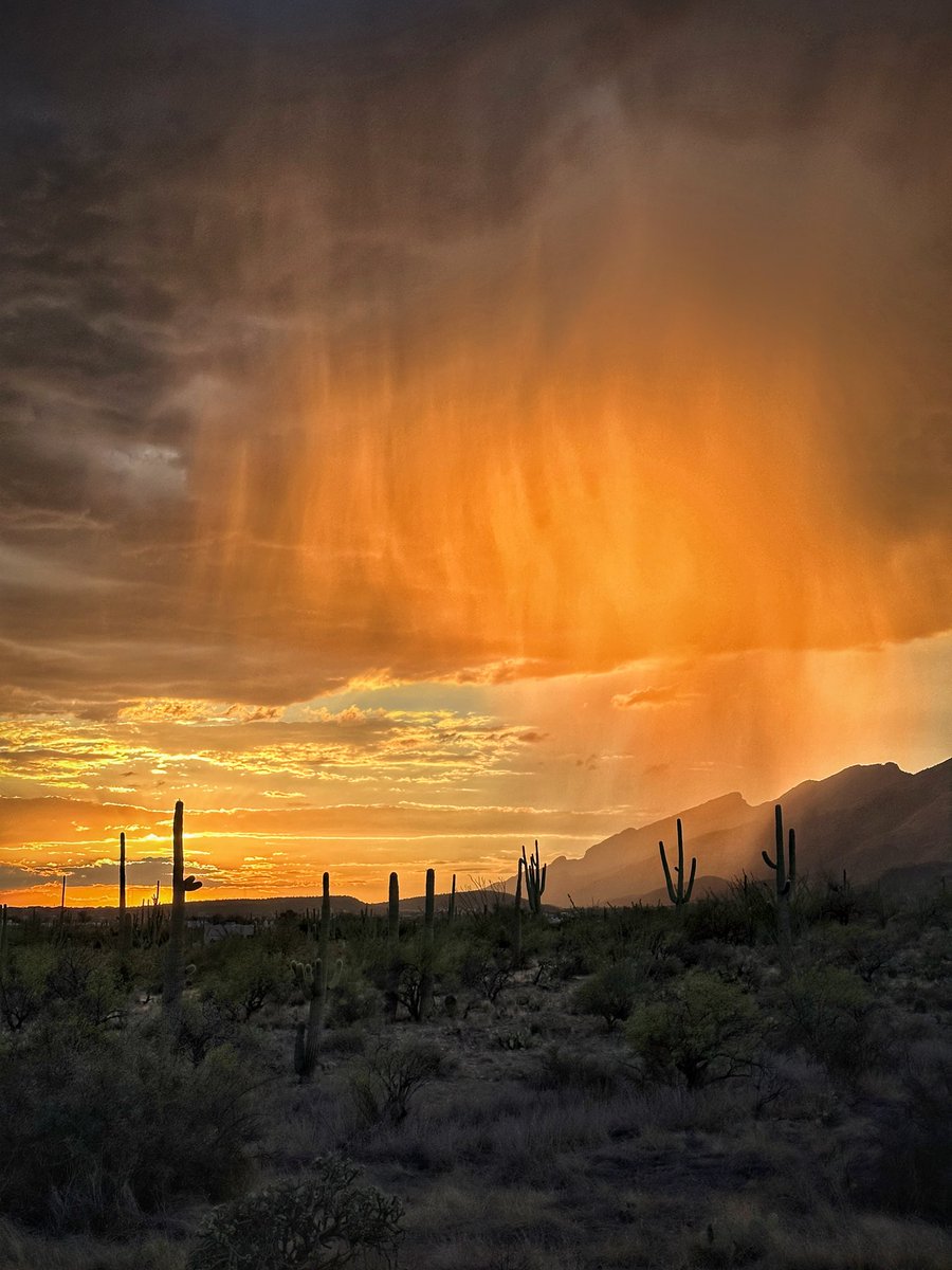 @VisualsbySauter When the desert sunset sets the rain on fire… Monsoon skies over Tucson are truly something…
instagram.com/p/CxvMnxFr8gK/…
@VisitTucsonAZ 
@apple #shotoniPhone