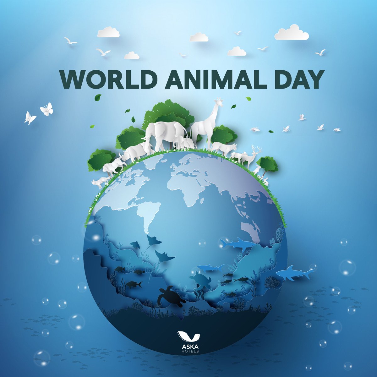 Hayvanlar, doğanın güzelliği ile aramızdaki köprüdür. Onların yaşam hakkını ve yaşam alanlarını korumak bizim elimizde. 
Animals are the bridge between us and the beauty of nature. It's in our hands to protect their right to life and their habitat.