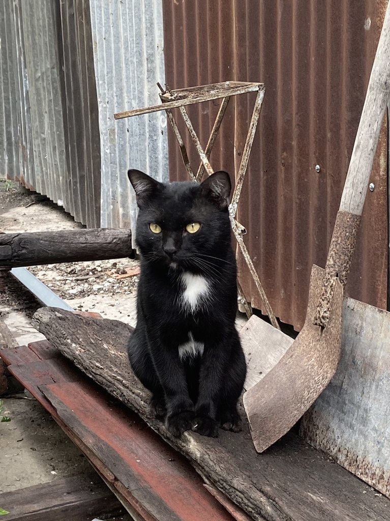 ชอบไปบ้านคนอื่น ระวังเราจะไม่ไปตามคืน