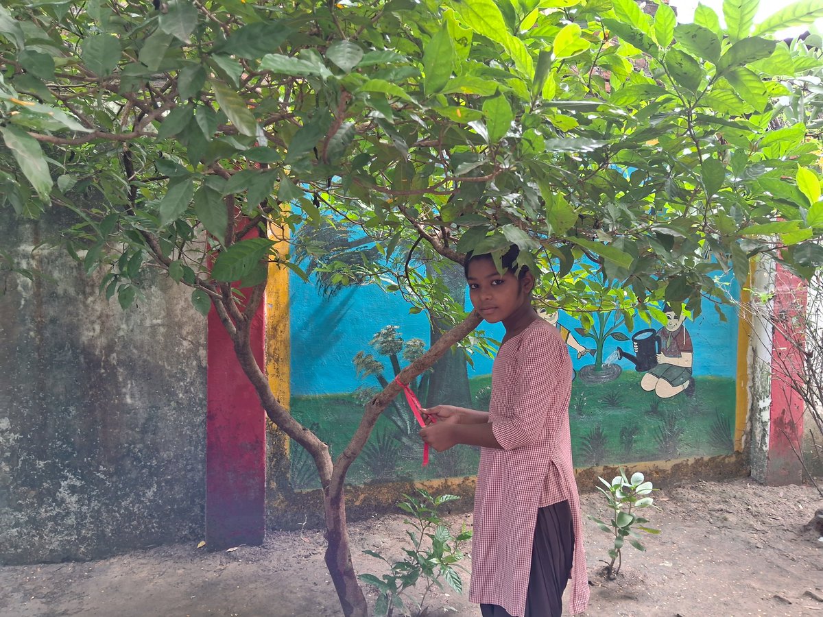 #प्रकृति_मित्र🌳
Name- ziya
Designation-
Class-5
Address-Primary school Takiyapuwa nighasan Lakhimpur
<a href="/shikshansamvad/">मिशन शिक्षण संवाद @shikshansamvad</a>
<a href="/RedTapeMovement/">Red Tape Movement 🌳</a> 
<a href="/teachersclubup/">teachers club</a> <a href="/UNEP/">UN Environment Programme</a> <a href="/Nature/">nature</a> <a href="/eriksolheim/">Erik Solheim</a> <a href="/myogiadityanath/">Yogi Adityanath</a>
<a href="/narendramodi/">Narendra Modi</a> #nature_friend
साभार- टीम प्रकृति मित्र मिशन शिक्षण संवाद