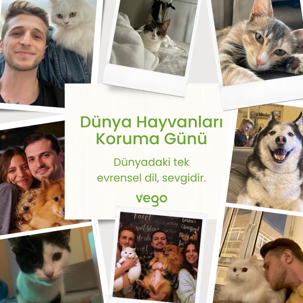 getvego's tweet photo. Dünya Hayvanları Koruma Günü kutlu olsun! Onları korumak ve sevgiyle bakmak, sadece bu günün değil, her günümüzün sorumluluğudur. Hayvanları sevin, saygı gösterin ve koruyun! 💚 #4EkimDünyaHayvanlarıKorumaGünü https://t.co/Zg6ntn2qsE