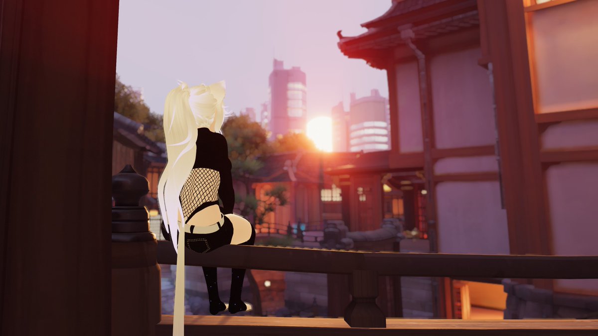 Ember Aurora (@emberauroras) on Twitter photo 