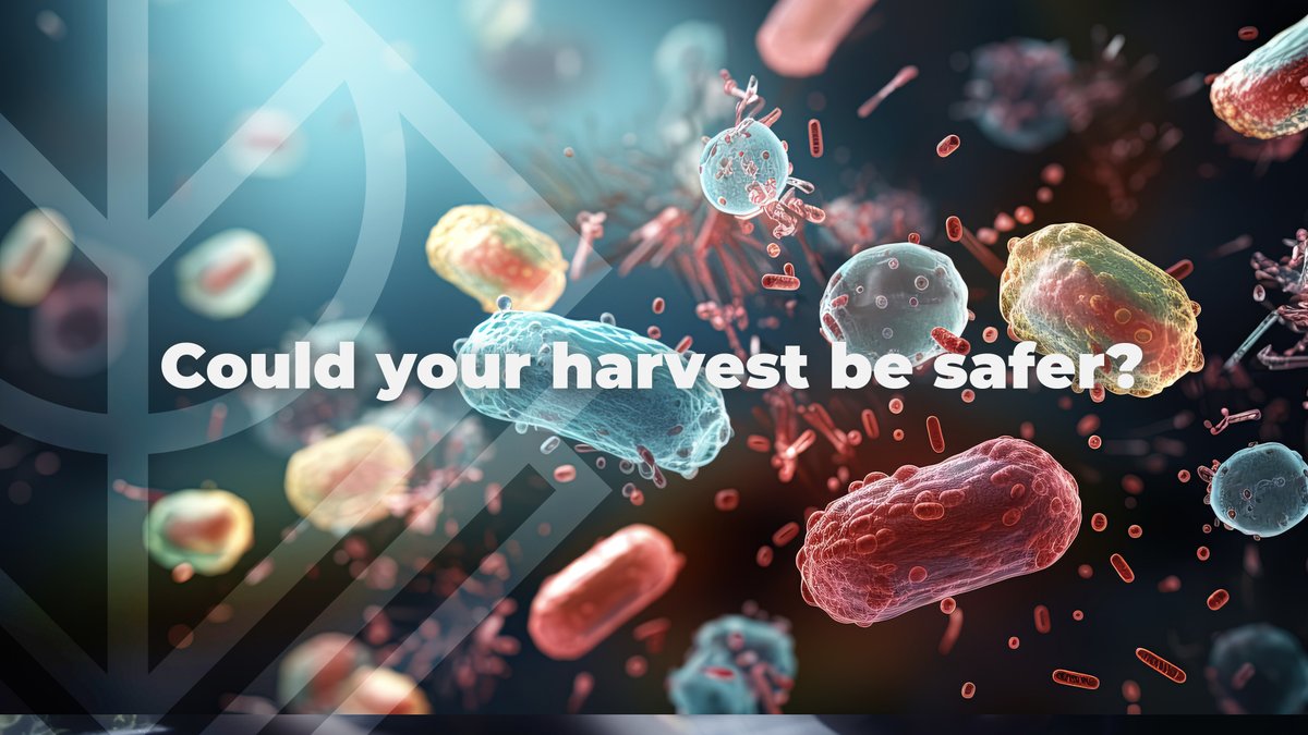 The risk of food-borne illnesses that often strike field-farmed produce such as  E. Coli, salmonella, hepatitis A, and listeria are virtually eliminated inside a vertical farm.

Make produce-safety a BIG part of your farm's value proposition with Cultivatd. 🌱