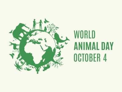Happy World Animal Day اليوم العالمي للحيوان 🌎🦍🦓🐘🦒🐊🦚
