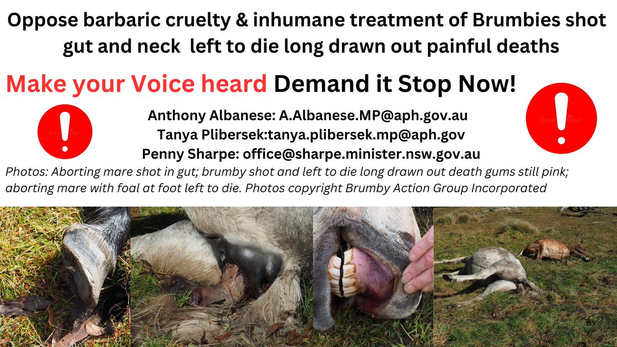 Marilyn Nuske tweet media