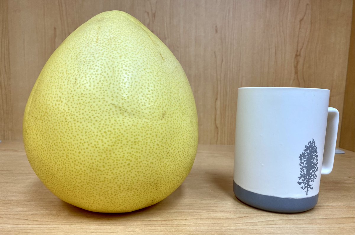 Fraser Stoddart tweet media