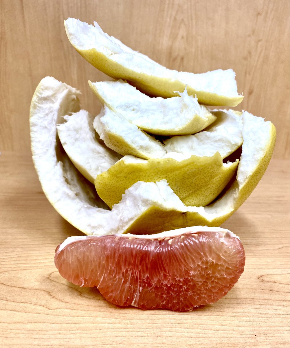 Fraser Stoddart tweet media