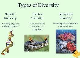🌿Celebrating the tapestry of life! 🦎🌺 Species diversity enriches our world, ensuring resilience &amp; balance in ecosystems. Let's cherish &amp; protect the countless species, promoting a biodiverse &amp; harmonious future 🌍🐾#SpeciesDiversity #Biodiversity #NatureMatters
