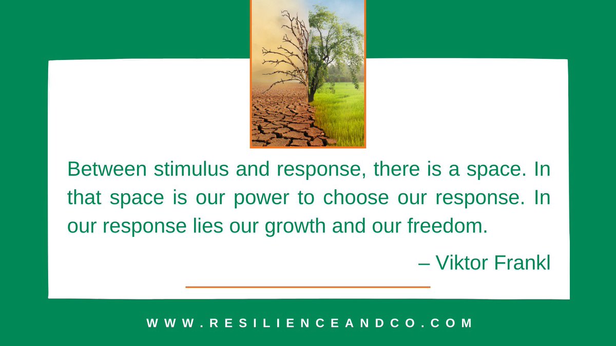 resilience_co's tweet photo. These words remind us that in every situation, we have the ability to #pause, #reflect, &amp; #choose how we respond. This space between stimulus &amp; response is where our true #power &amp; #growth reside. It's where we can break free from automatic reactions &amp; consciously shape our lives. https://t.co/GTvZNRCWD6
