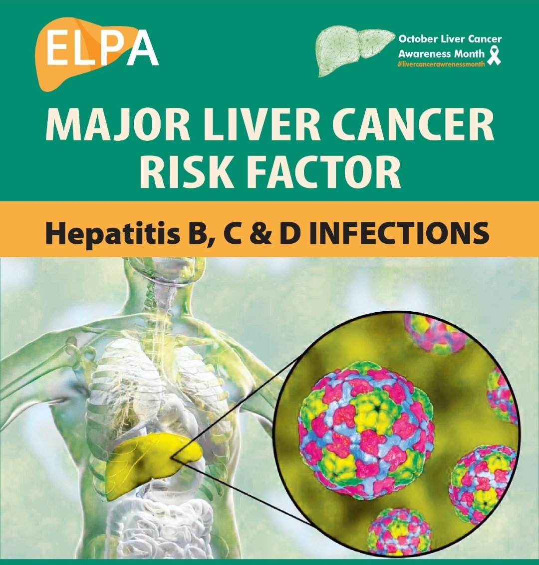 ✨ Empower and Protect: Your Liver Matters! ✨ Ignite Hope, Save Lives! 💪 #EUCancerPlan 🌟 Did you know? #Hepatitis B, C, and D pose significant risks for #livercancer. But here's the fantastic news: #HCV is #CURABLE, and #HBV and #HDV are PREVENTABLE! #LiverCancerAwarenessMonth