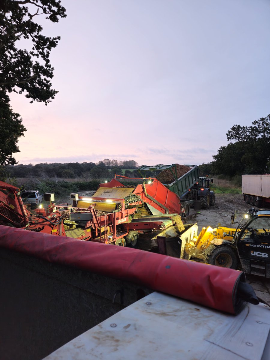 If only the smell of freshly dug carrots could be bottled up... 🥕🤪