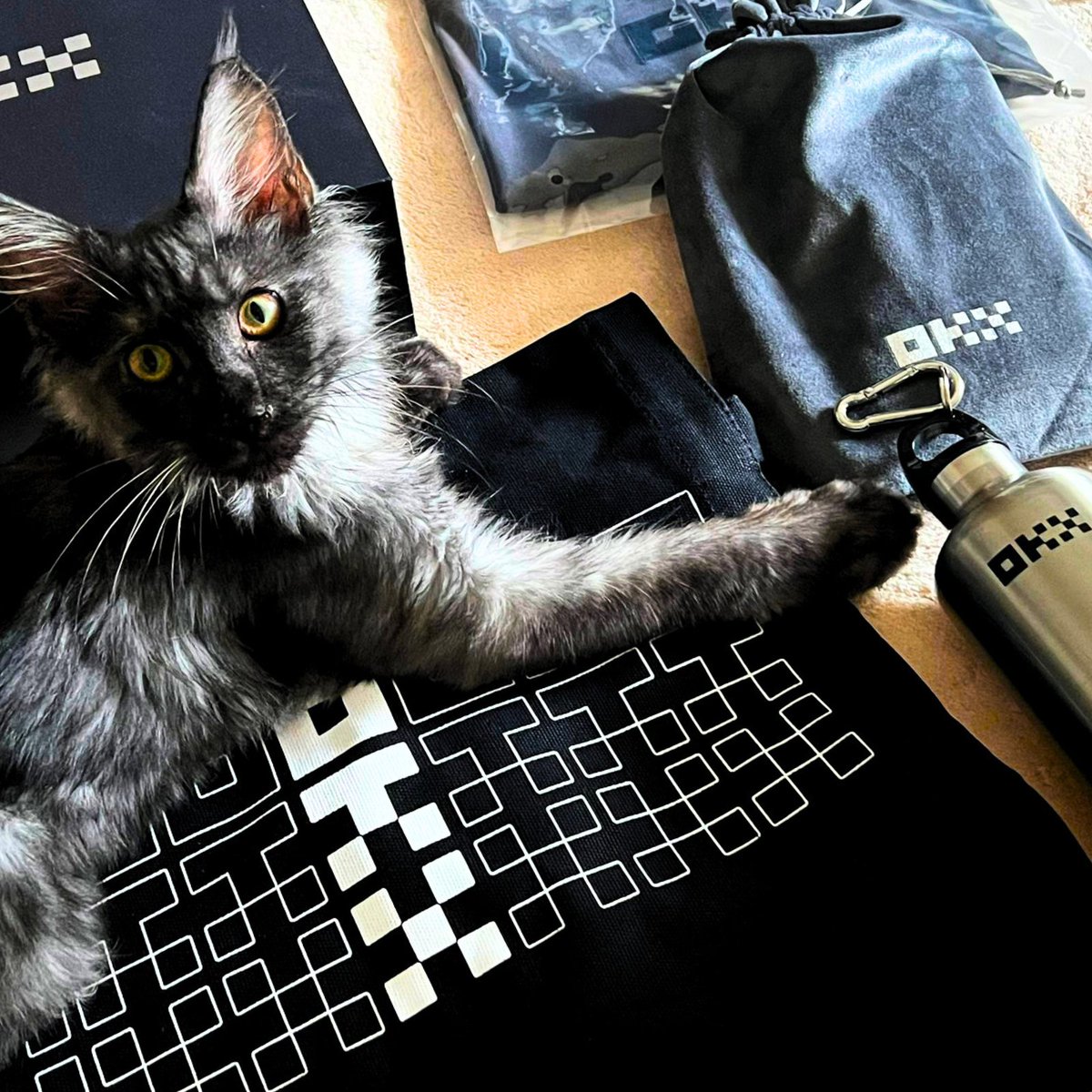 okx's tweet photo. Is there a more purrrfect match than this?! 😍🐈 🐾 https://t.co/zogrvdofSY