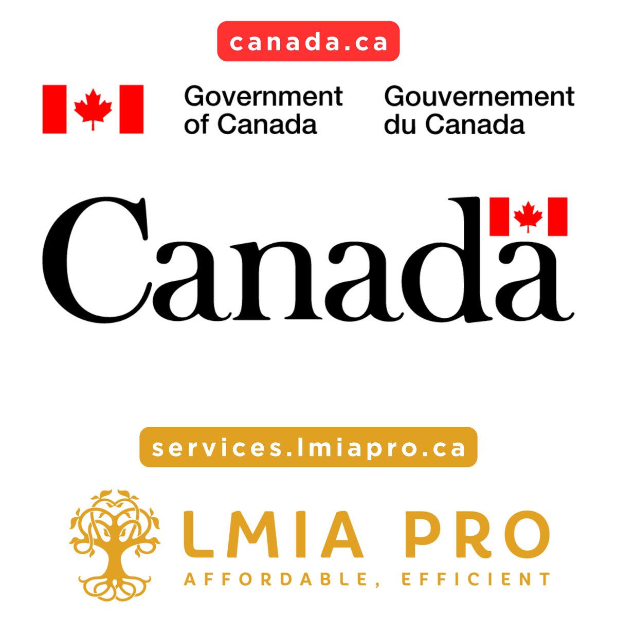 Interested in #workinginCanada, #immigrationtoCanada, or #traveltoCanada? Make sure you get accurate information from legitimate sources! Visit Canada.ca, the official website of the Government of Canada, or a Certified Immigration Consultant buff.ly/3psQ47C