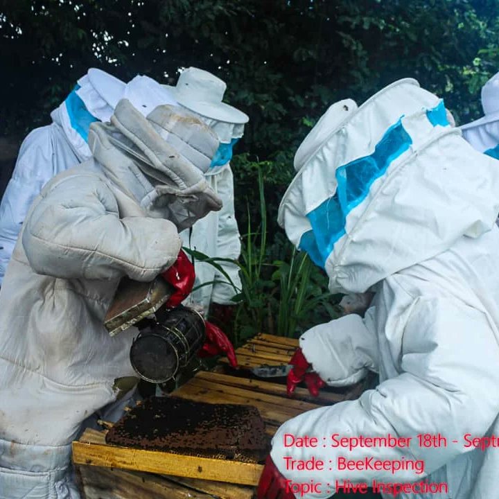 ogstep2020's tweet photo. Still ongoing is the Ogun State Skills Fund program. Over 40 vocational skills such as Beekeeping, Plumbing, catering, garment making, painting and Electrical Installation amongst others are the skills acquisition classes under this program.
#OSF
#Iseowoya
#Asejere https://t.co/xHlmhyGqdj