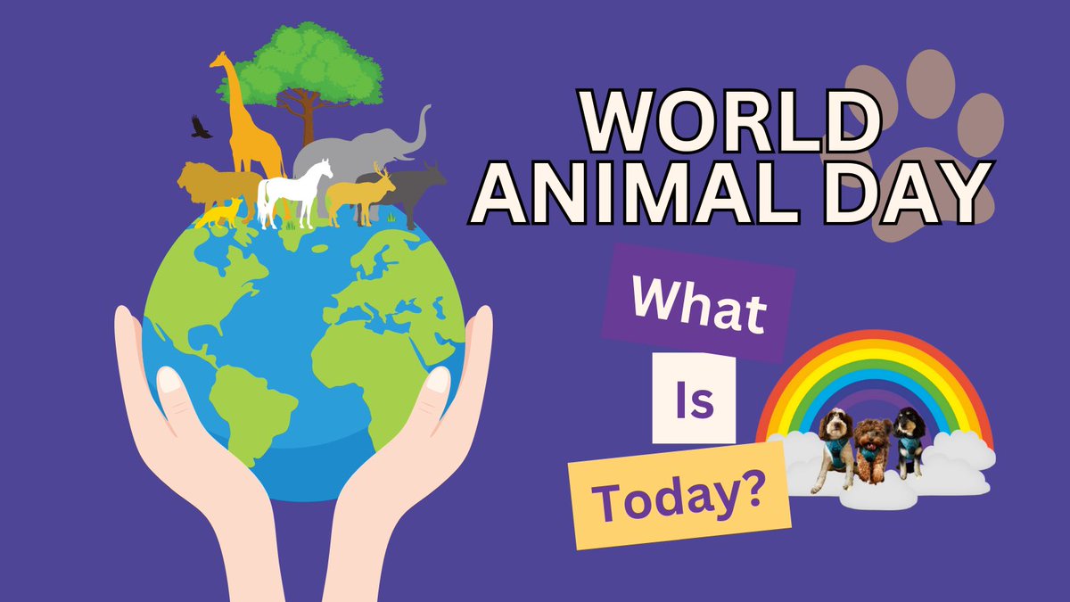 🐾 Happy World Animal Day! 🌍🐾 Let's take a moment to celebrate the incredible creatures that share our planet. From loyal pets to majestic wildlife, they bring joy, hope, and wonder. Let's work together to protect and cherish them. 🐶🐱🐘🦋 #WorldAnimalDay #LoveOurPlanet