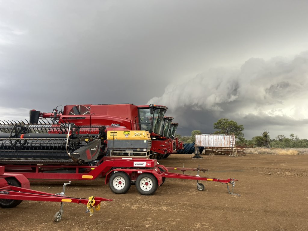 Sam Heagney tweet media