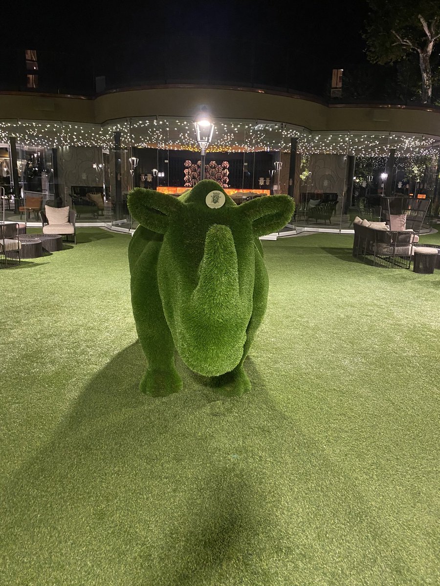 Hans Huitink (@airwaymxacademy) on Twitter photo Goodmorning Baveno 🇮🇹 And so it begins, first day of the European Airway Management Society conference #EAC23 at hotel Dino. A great day for Teach the Teacher, instructor TAT and other airway precourses. <a href="/AnRocad/">Atropínico</a> <a href="/rosshofmeyr/">Ross Hofmeyr</a> <a href="/SheilaMyatra/">Sheila Myatra</a> <a href="/ProfEllenO/">Ellen O’Sullivan @ProEllenO.bsky.social</a> <a href="/SorbelloMax/">Max Sorbello</a> <a href="/TraineesEAMS/">Trainees of EAMS</a> Goodmorning Baveno 🇮🇹 And so it begins, first day of the European Airway Management Society conference #EAC23 at hotel Dino. A great day for Teach the Teacher, instructor TAT and other airway precourses. <a href="/AnRocad/">Atropínico</a> <a href="/rosshofmeyr/">Ross Hofmeyr</a> <a href="/SheilaMyatra/">Sheila Myatra</a> <a href="/ProfEllenO/">Ellen O’Sullivan @ProEllenO.bsky.social</a> <a href="/SorbelloMax/">Max Sorbello</a> <a href="/TraineesEAMS/">Trainees of EAMS</a>