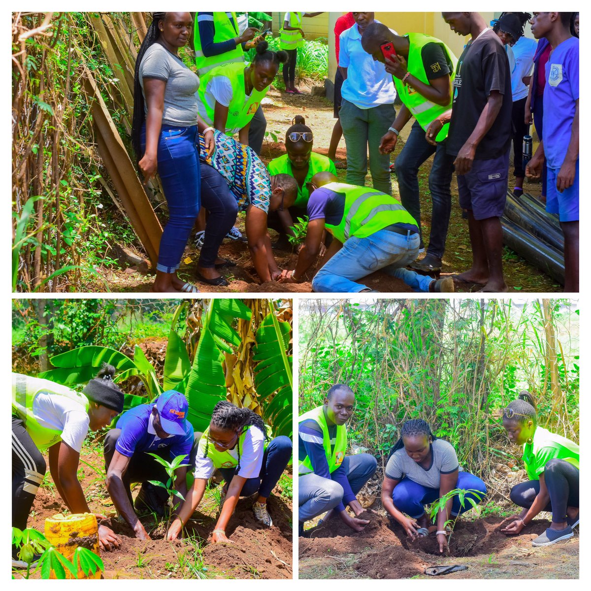 We visited Lutheran School for the Mentally Handicapped.

Planted 140 fruit trees along them mango, Avocado, Passion, Pawapaw trees. One of our Partners Kisumu Greening Initiative will be visiting the school every single day for the next one month to check on the trees planted💯