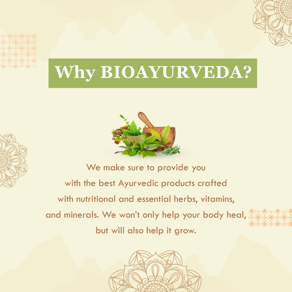 BIOAYURVEDA tweet media