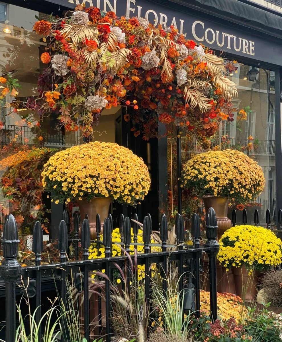 Aidancloud's tweet photo. Feel the style of a British internet celebrity flower shop/London florist
There’s not much to say but it’s gorgeous! Rely on red, purple, blue, and yellow to win, and use color instead of money to show off in a high-profile way!
#LondonFlorist #Londonflorist #UKfloralist #Visual https://t.co/uWEul7FXWI