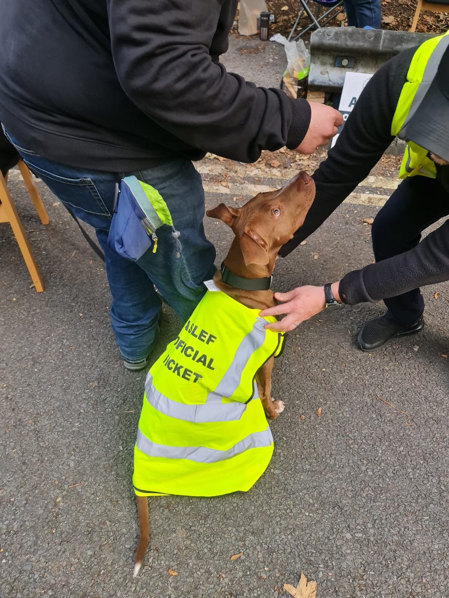 ASLEFunion's tweet photo. Orpington branch taking an early lead with the number of canine pickets out today.

Thanks for your solidarity Lottie, Bruce and Axl 🐶 
#DogsOnPicketLines https://t.co/elxIbg2g9q
