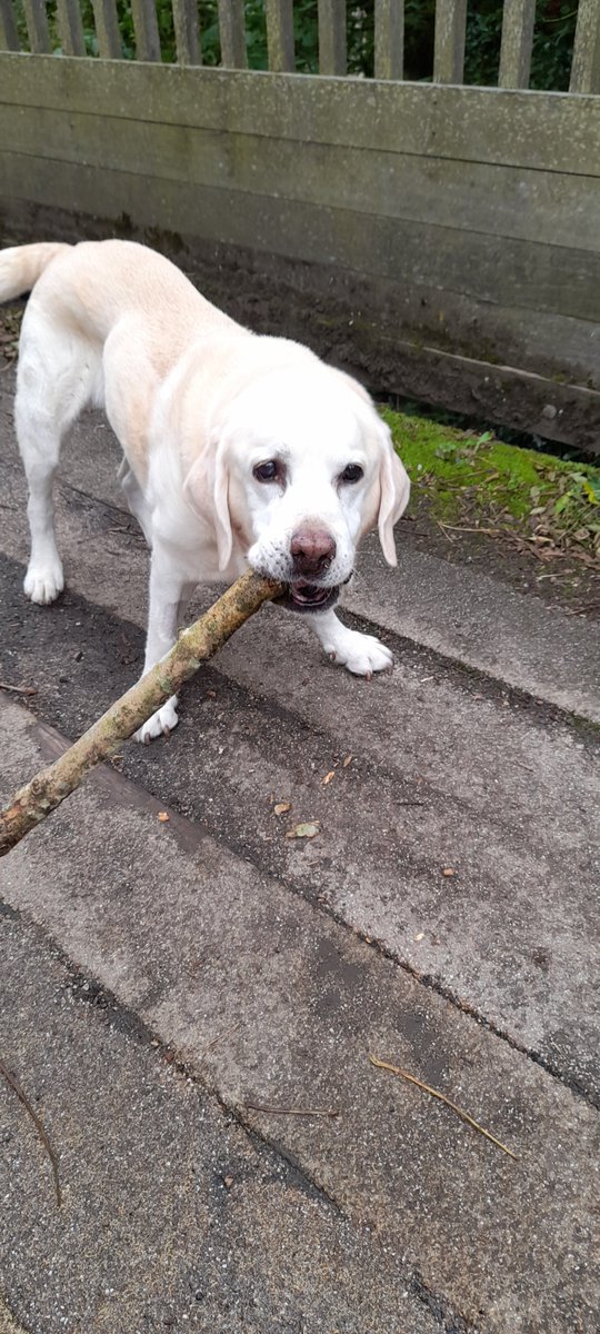 Braes High Outdoor Learning tweet media