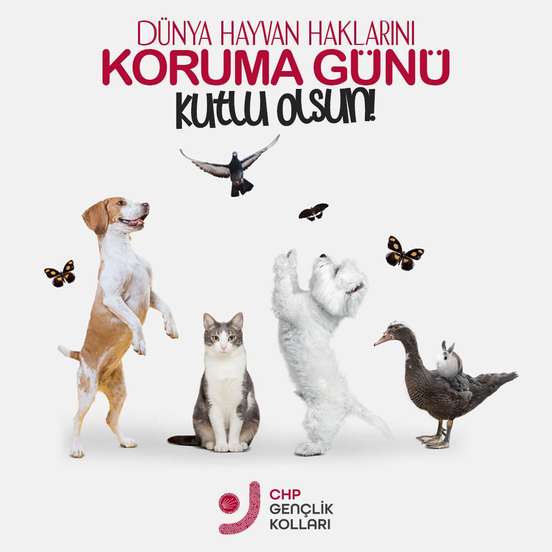 chpgenclik_gm's tweet photo. DÜNYA HAYVAN HAKLARINI KORUMA GÜNÜ KUTLU OLSUN!

"Bir milletin büyüklüğü ve ahlaki gelişimi, hayvanlara olan davranış biçimi ile değerlendirilir." https://t.co/Yhrv9iA8jD