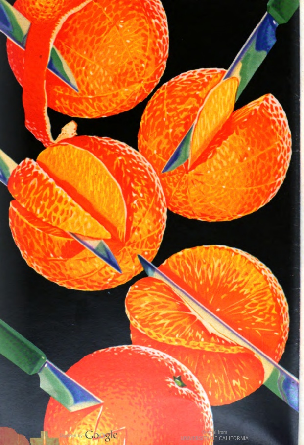 Sarah B Guest Perry tweet media