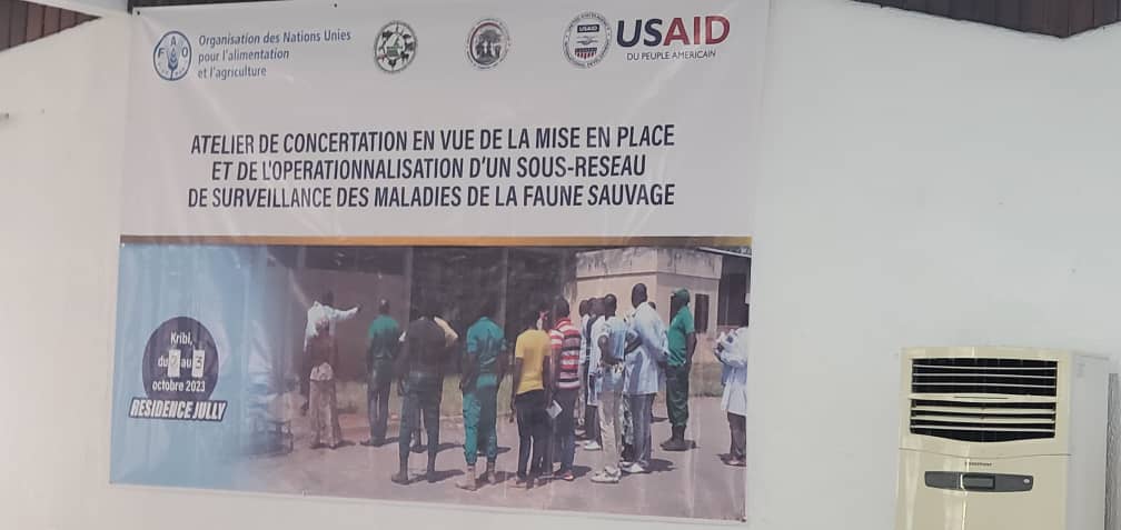 africavet's tweet photo. Consultation workshop to operationalize the #wildlife #disease surveillance #subnetwork (#RESCAM)
organized by @MINEPIA, @MINFOF, @CmrZoonoses
with the support of @FAOCameroon
@africavet
@au_ibar
@FAO
@whocmr
@UNEP
@WOAH https://t.co/fwpNaexctq