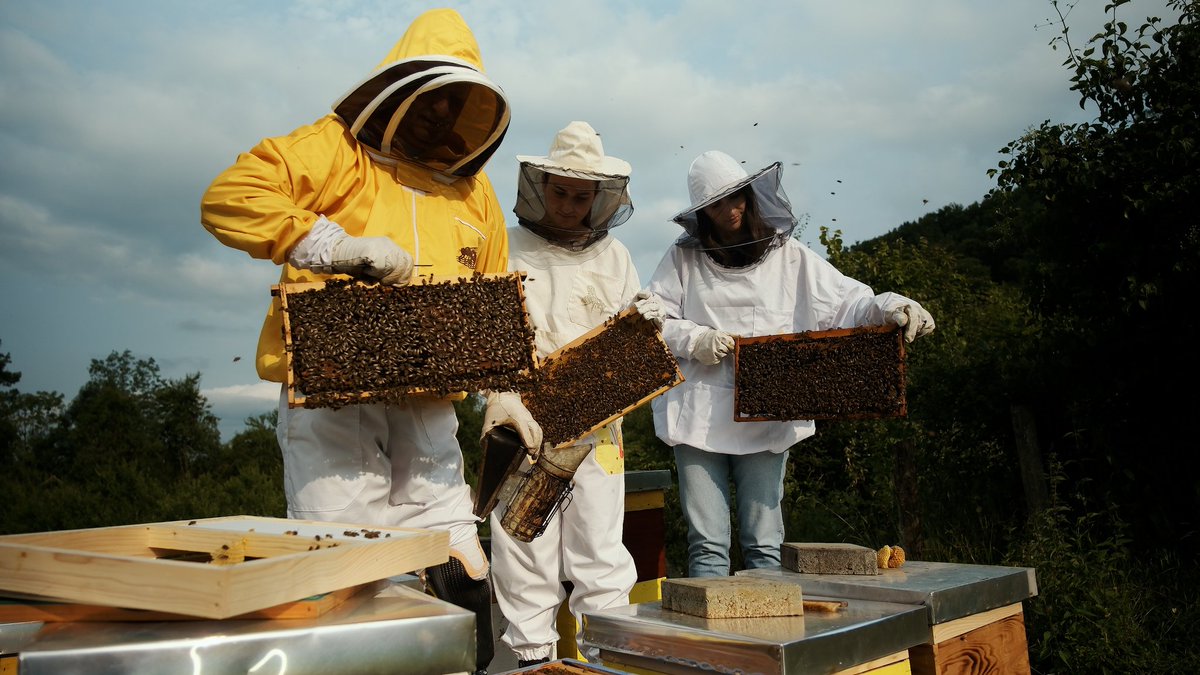 udas_udasrs's tweet photo. 🐝"U pčelama sam našao mir i psiho-fizičku rehabilitaciju"
#InvestingInAction @ISUCCM @minefreeworld https://t.co/cWrm0mYjLv