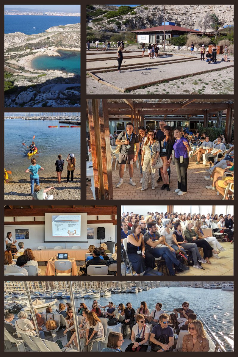 La nouvelle édition de la journée du C2VN  s'est déroulée vendredi dernier aux îles du Frioul. 
Au programme, présentations scientifiques et activités team-building.
Le soleil et la bonne humeur étaient au rendez-vous 🌞🌡!
#Frioul #sciences #teambuilding