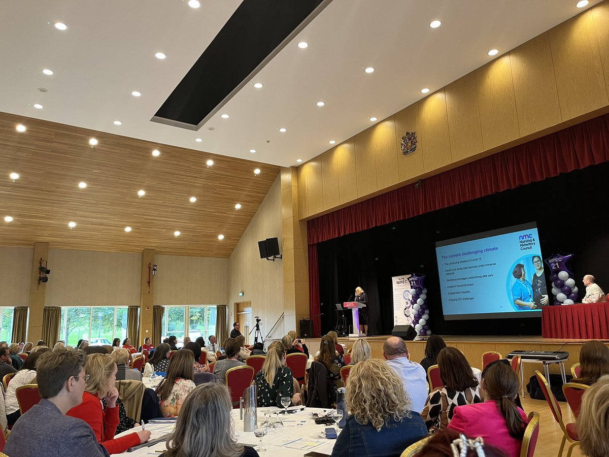 Happy Birthday NIPEC, Anne Trotter BEM, NMC Assistant Director of Education &amp; Standards speaks on Looking Back to Learn, Looking Forward to Succeed #NIPEC2023