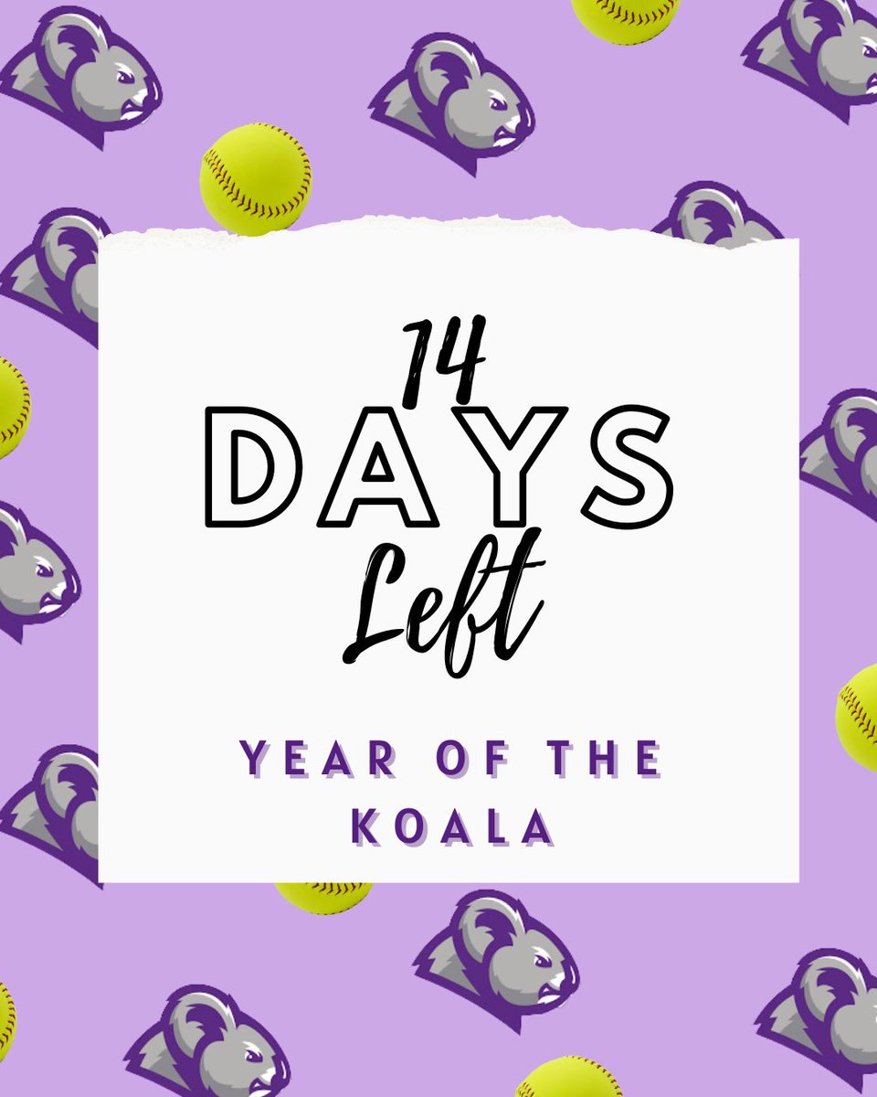 Click the link to donate💜🐨🥎: 

givecampus.com/0ccdx9

We greatly appreciate the support! 🫶

#gokoalas #ccsoftball #family #collegesoftball #CCYearOfTheKoala #naia
#aacconference #donations #supportwomeninsports #playlikeagirl