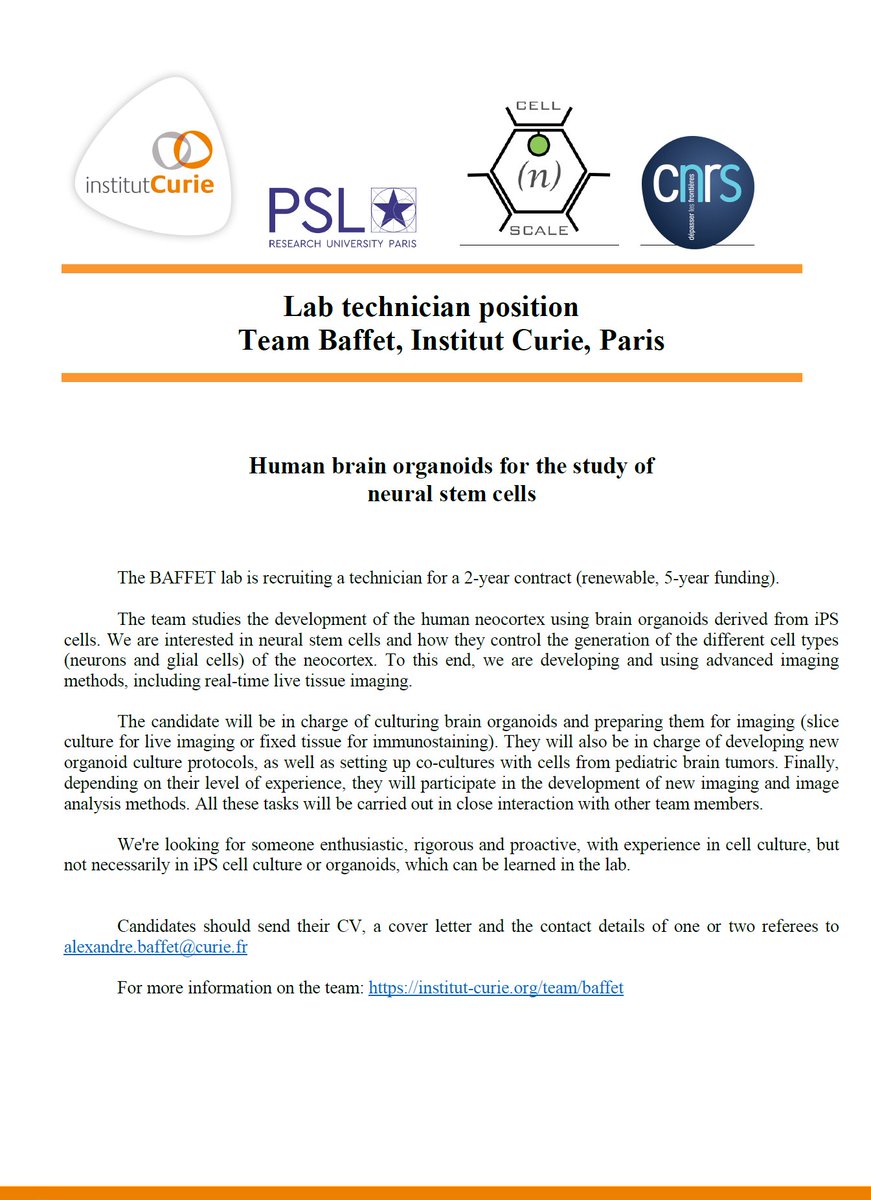 Are you interested in working with brain organoids? We have an open position for a new lab technician/research assistant in the lab! 
Please retweet (or re-X 😅) 
#brainorganoids #iPSCells #researchassistant #labtech