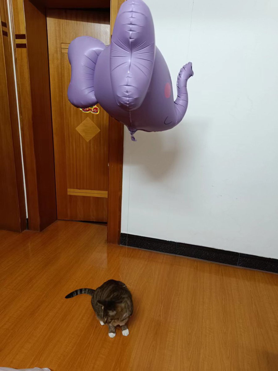 他好像不太开心，但是没关系我开心就行