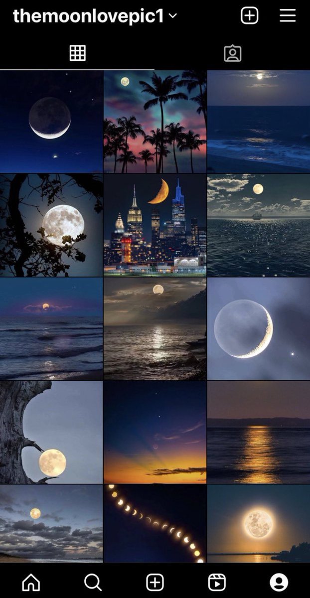 proannaforever's tweet photo. @themoonlovepic https://t.co/6Mz59ann3a https://t.co/oO8sYNQaKc
