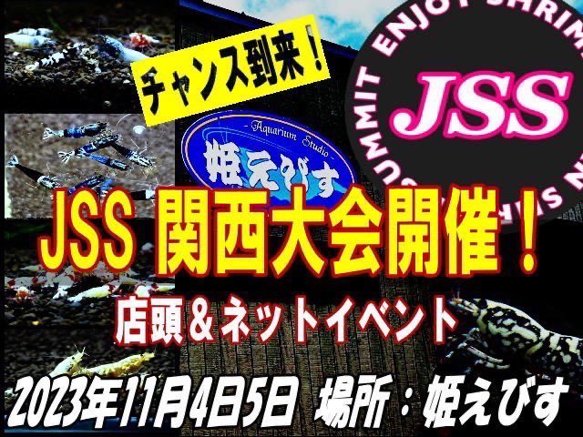 お久しぶりです😊 シュリンプシーズン突入しましたので11月4日5日JSS関西を開催いたします‼️　　 今回の会場は姫路の姫えびすになります。 久しぶりのオフ会🍺やご購入様プレゼント🎁もありますのでご参加お待ちしております。 jss-shrimp.ocnk.net #JSS #ジャパンシュリンプサミット