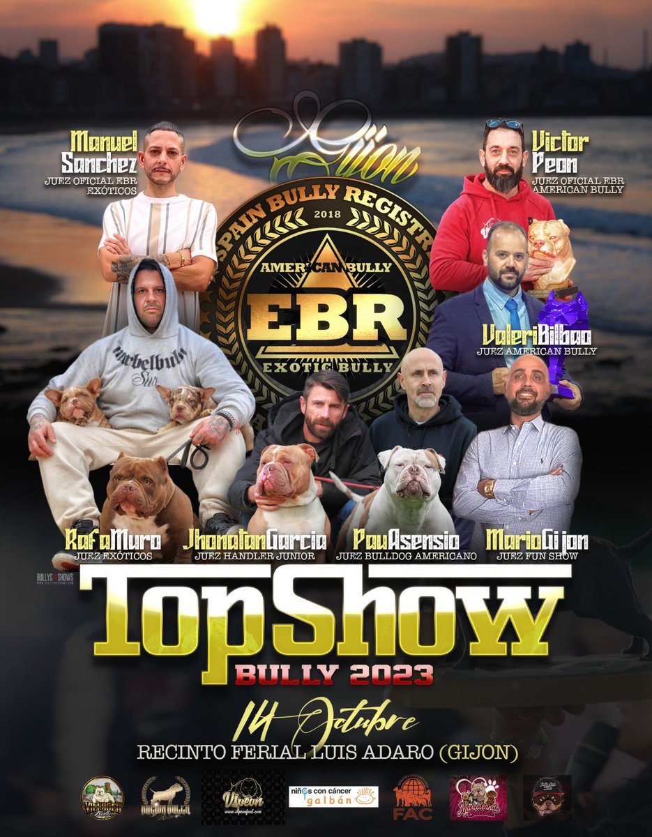 Feriasturias's tweet image. ¡Vuelve Top Show Bully!
El sábado 14 de octubre te esperamos de nuevo en Gijón.
Todo lo recaudado con este evento se dona a la Asociación Galván. Todo por la mejor de las causas
¡Vamoooos! ¿Ya queda menos!

#8EspacioMascotas #perros #bullys #petdriendly #gijón #Asturias