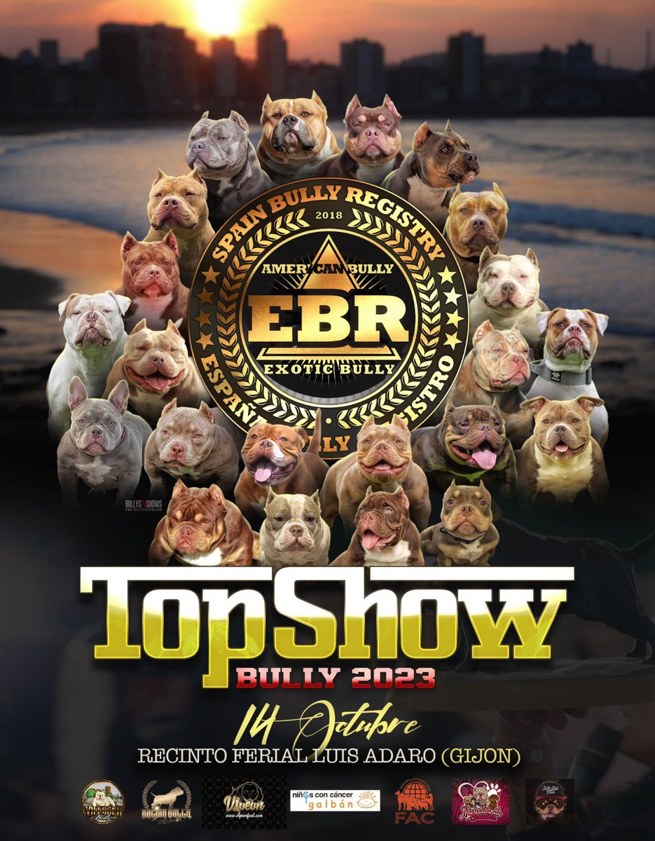 Feriasturias's tweet image. ¡Vuelve Top Show Bully!
El sábado 14 de octubre te esperamos de nuevo en Gijón.
Todo lo recaudado con este evento se dona a la Asociación Galván. Todo por la mejor de las causas
¡Vamoooos! ¿Ya queda menos!

#8EspacioMascotas #perros #bullys #petdriendly #gijón #Asturias