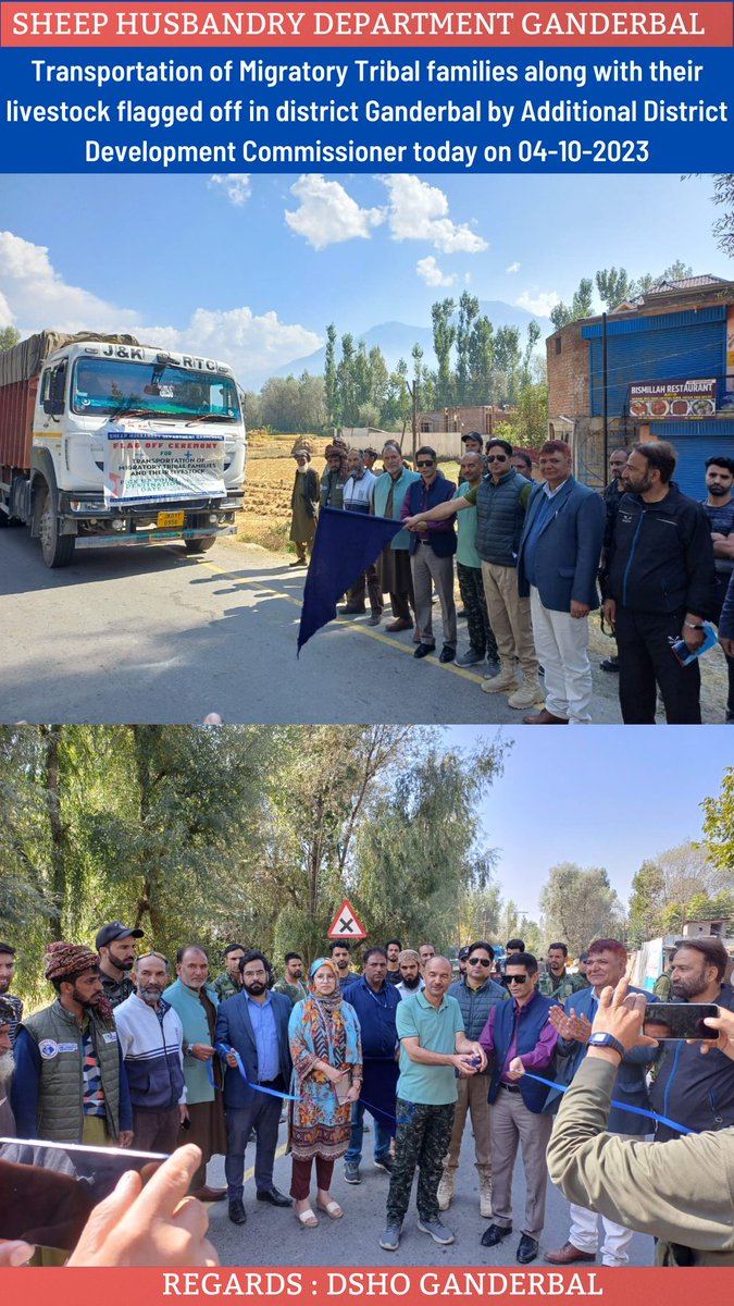 DSHOGanderbal's tweet photo. #Transhumance
Convoy of nine trucks flagged off on 04-10-2023 from Ganderbal by ADDC Gbl Mr Mushtaq Ah Simnani for transportation of #migratory tribal families to their respective destinations.
@TranshumanceGbl 
@dcganderbal 
@diprjk 
@DirSHDK 
@listenshahid 
@CentreGanderbal https://t.co/tRLh2C0q2Q