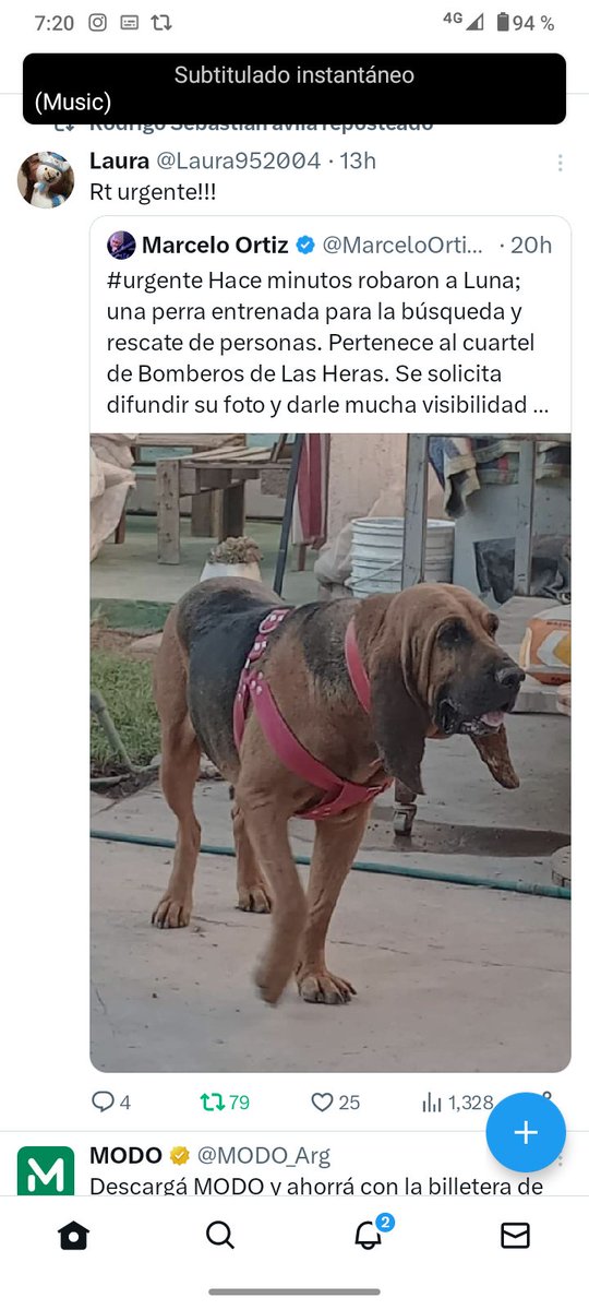 MaraRos37411865's tweet image. 