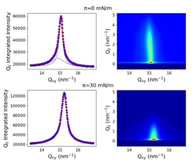 SIRIUS_Beamline's tweet photo. New paper: "Thermodynamic and structural properties of lipid-photosensitizer conjugates mixed with phospholipids: Impact on the formation and stability of nano-assemblies" by Chapron et al.
https://t.co/pZs46TObeR
#GIXD #LangmuirFilms
@ELSchemistry @umr8612 https://t.co/U96M119lJS