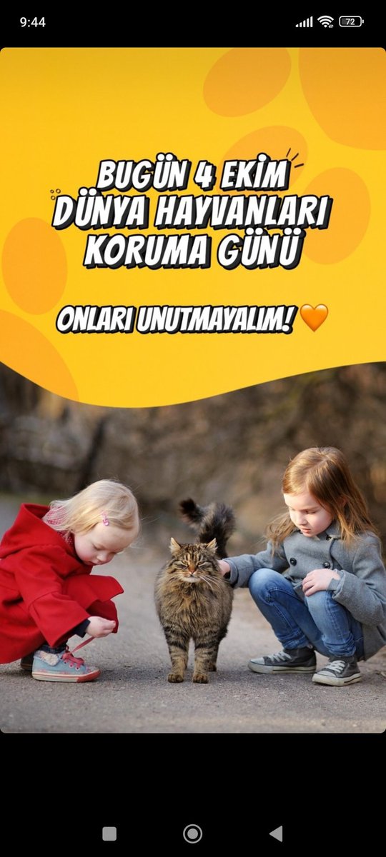 76Sevda76's tweet photo. https://t.co/k76dmQwVug