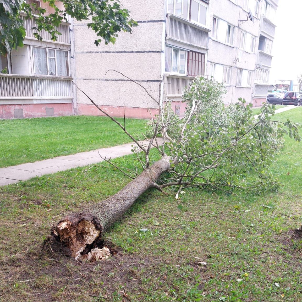 Ventspils Komunālā pārvalde tweet media