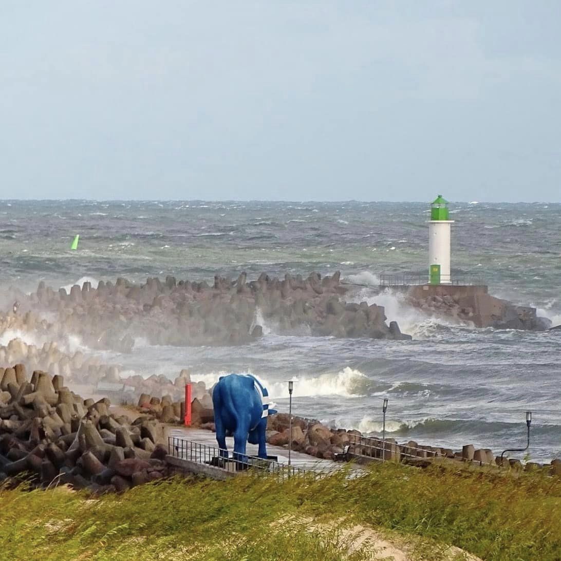 Ventspils Komunālā pārvalde tweet media